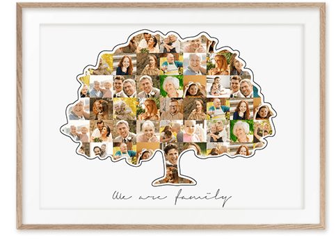 collage albero di famiglia 2